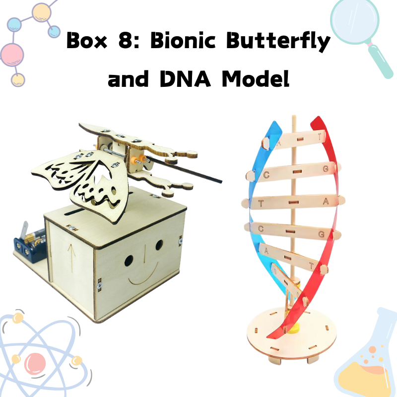 Build-It Science subscription month 8 – bionic butterfly and DNA model projects.